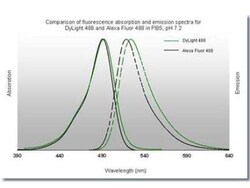 Rabbit anti-Mouse IgG1 Heavy Chain Secondary Antibody, DyLight 488, Novus Biologicals™